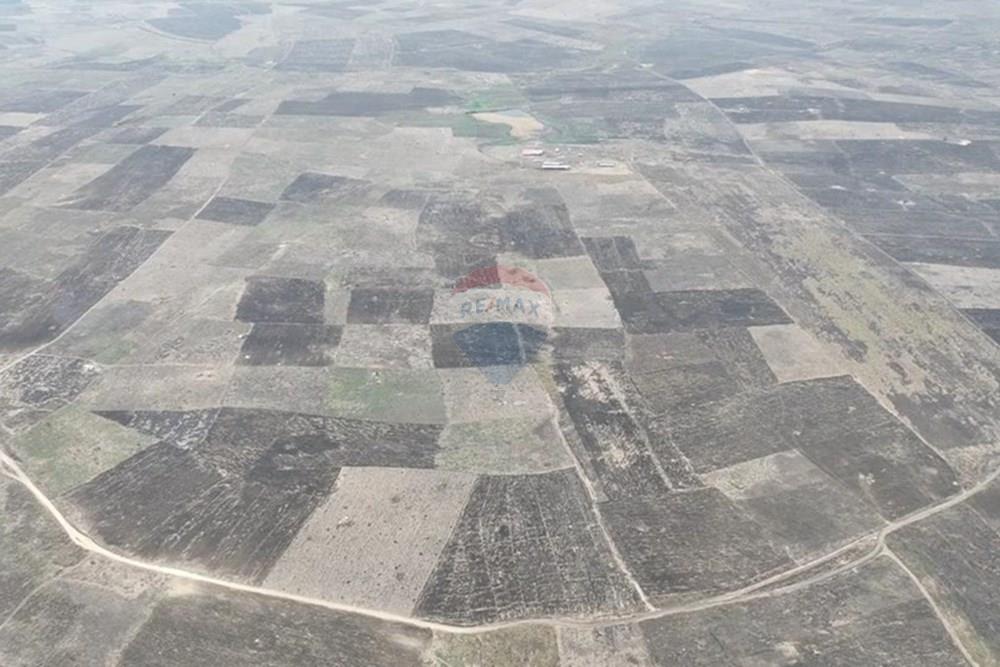 Commercieel - Investering - Bengo, Angola - AO - e88216ec-42a6-4360-afcf-7a8ff08d07d4.jpeg - 126100187-6