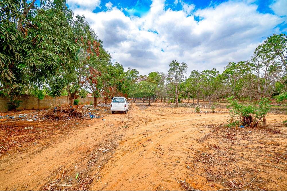 Commercieel - Investering - Viana, Angola - AO - DSC_9421.jpg - 126100185-9