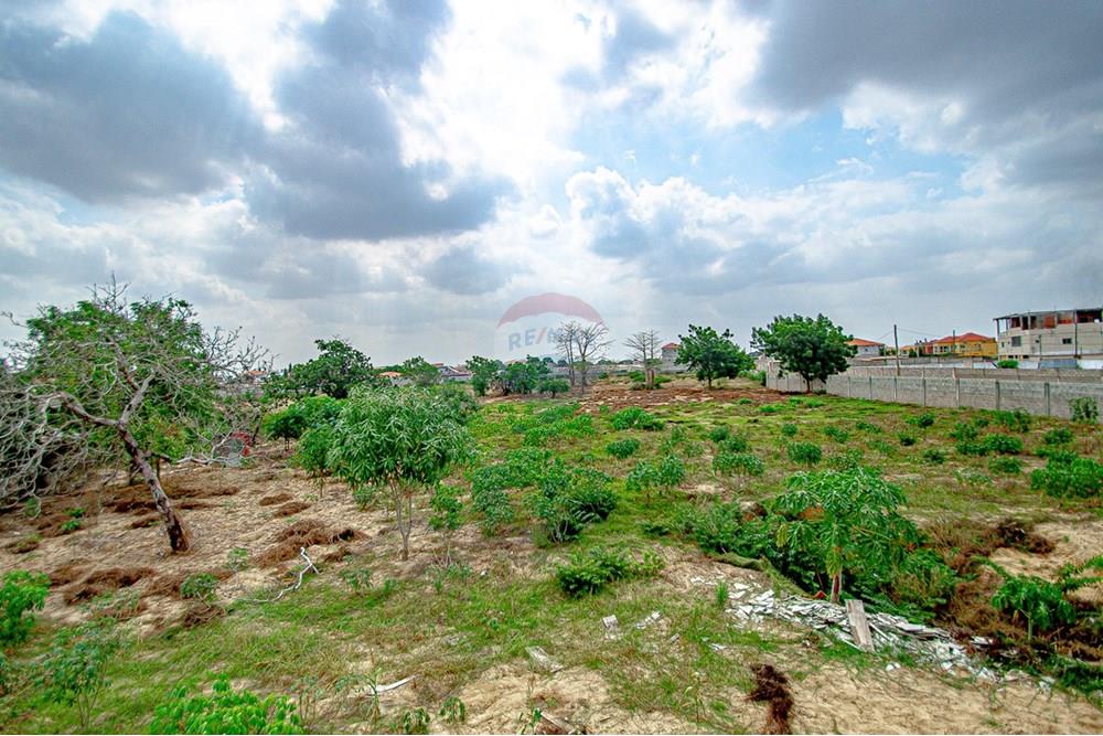 Commercial - Investment - Viana, Angola - AO - DSC_7928.jpg - 126100173-13