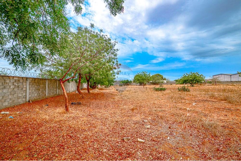 Comercial - Terreno - Benfica, Angola - AO - DSC_9030.jpg - 126100020-668