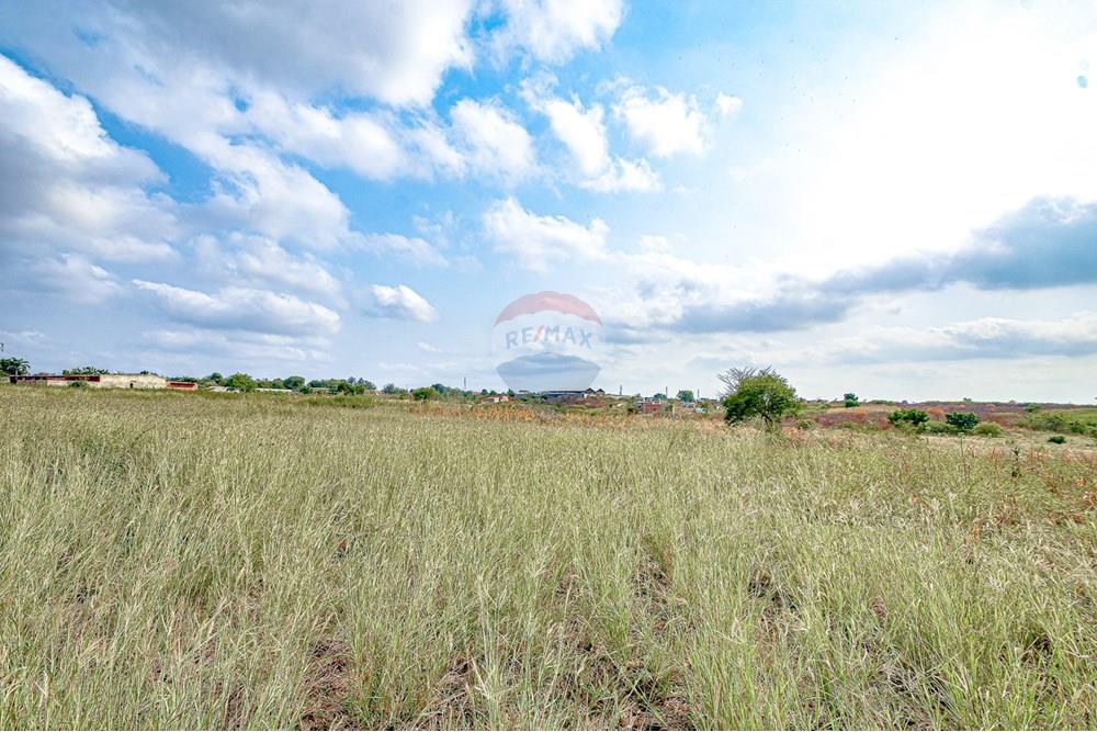 Commercieel - Grond - Bengo, Angola - AO - DSC_8102.jpg - 126100150-39