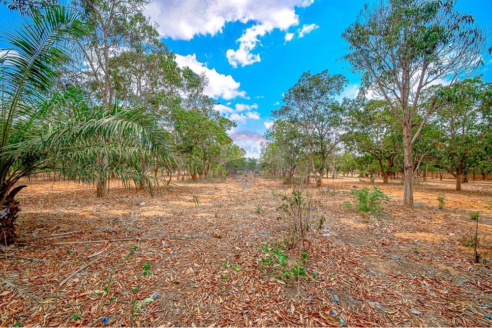 Commercieel - Investering - Viana, Angola - AO - DSC_9424.jpg - 126100185-9