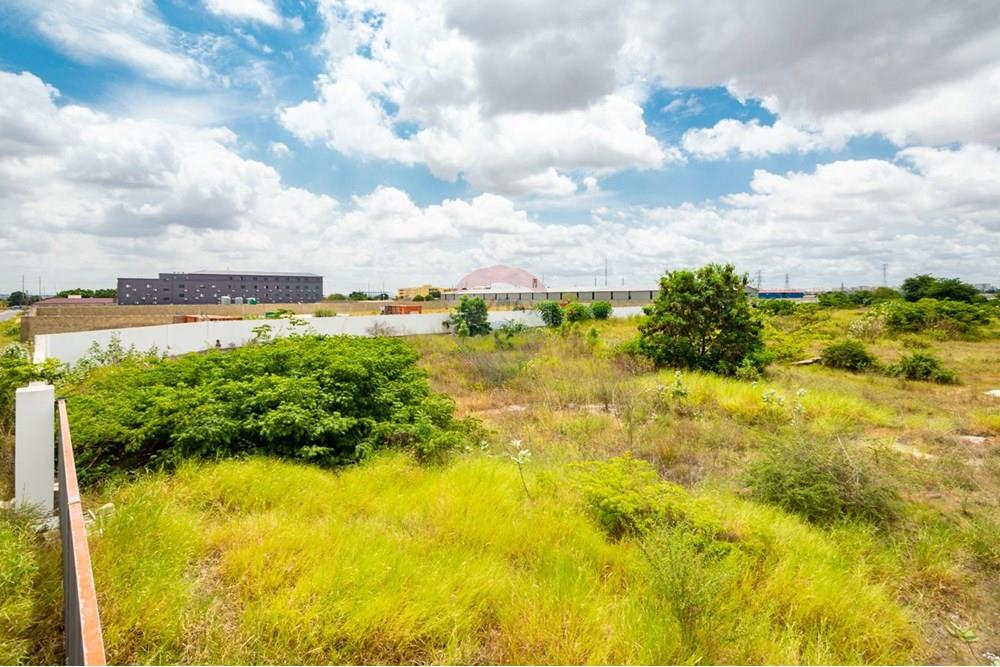 Commercio - Investimento - Camama, Angola - AO - DSC_0045.jpg - 126100132-23