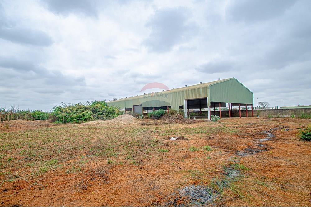 Comercial - Inversión - Viana, Angola - AO - DSC_7743.jpg - 126100097-55