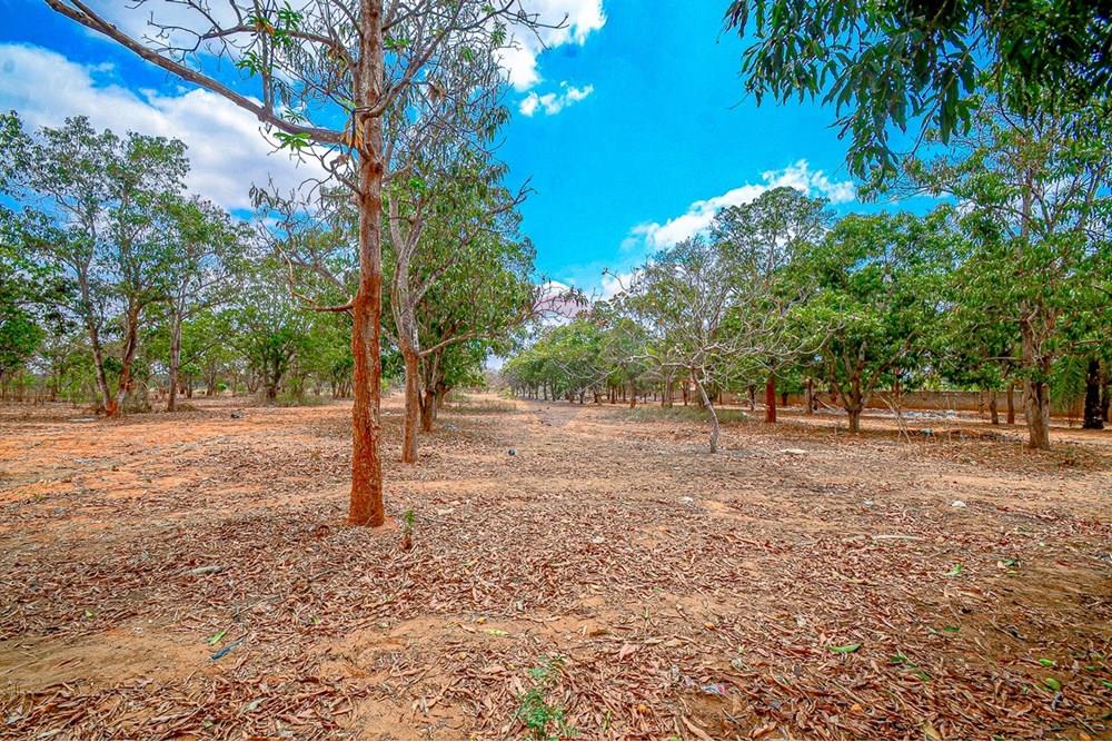 Commercieel - Investering - Viana, Angola - AO - DSC_9426.jpg - 126100185-9