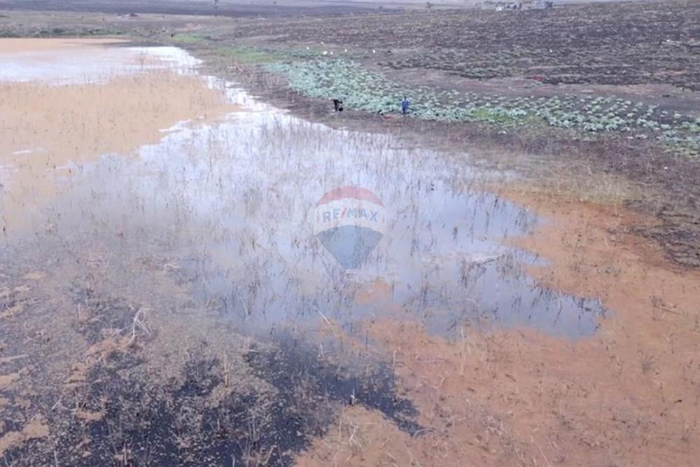 Commercieel - Investering - Bengo, Angola - AO - 88c0fb9a-27b8-4bae-b2bd-796cb6cd3c77.jpeg - 126100187-6