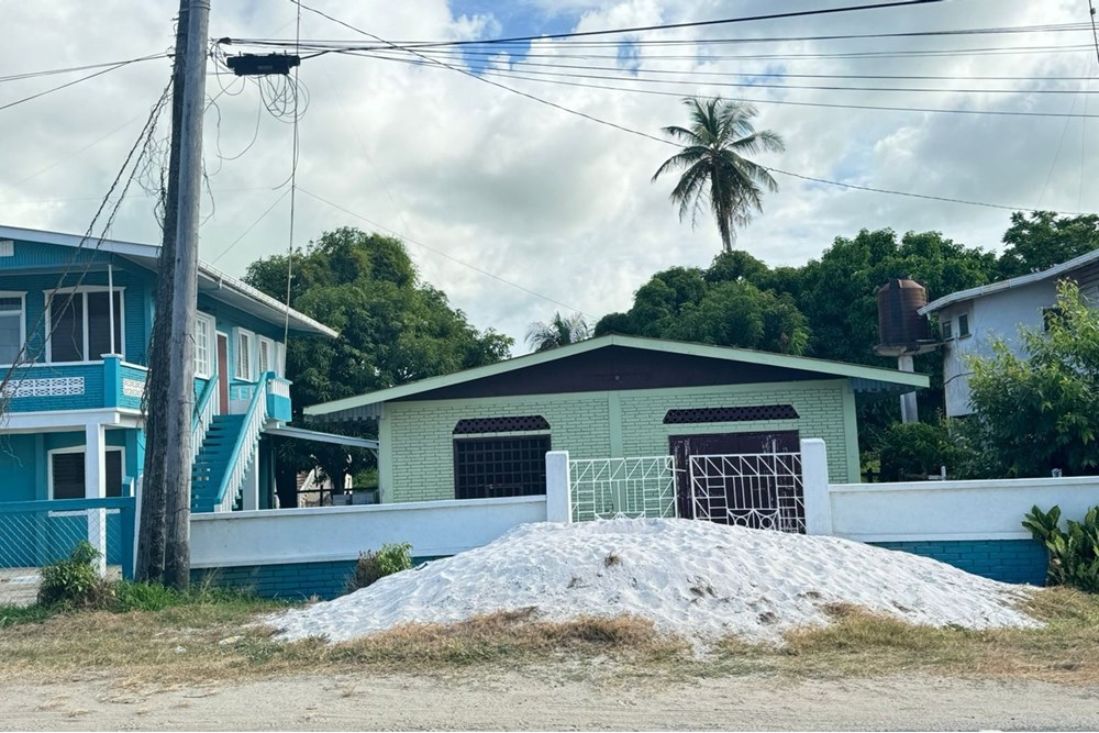 House - For Sale - Guyana, Mahaica-Berbice, Novar - WhatsApp Image 2024-09-06 at 17.04.17_6f56549a.jpg - 130002009-32