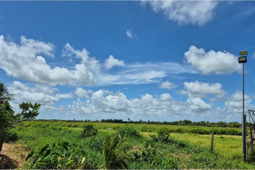 Land - For Sale - Guyana, Demerara-Mahaica, Perseverance - WhatsApp Image 2025-07-23 at 11.03.31 AM.jpeg - 130002012-140