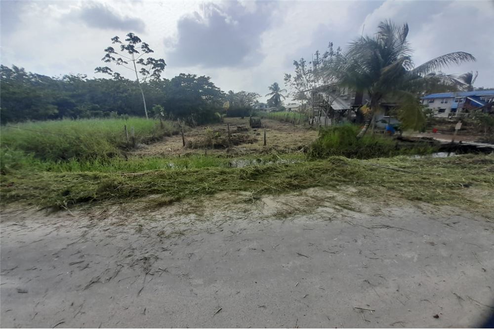 Land For Sale Guyana, DemeraraMahaica, Big Diamond 13000201226