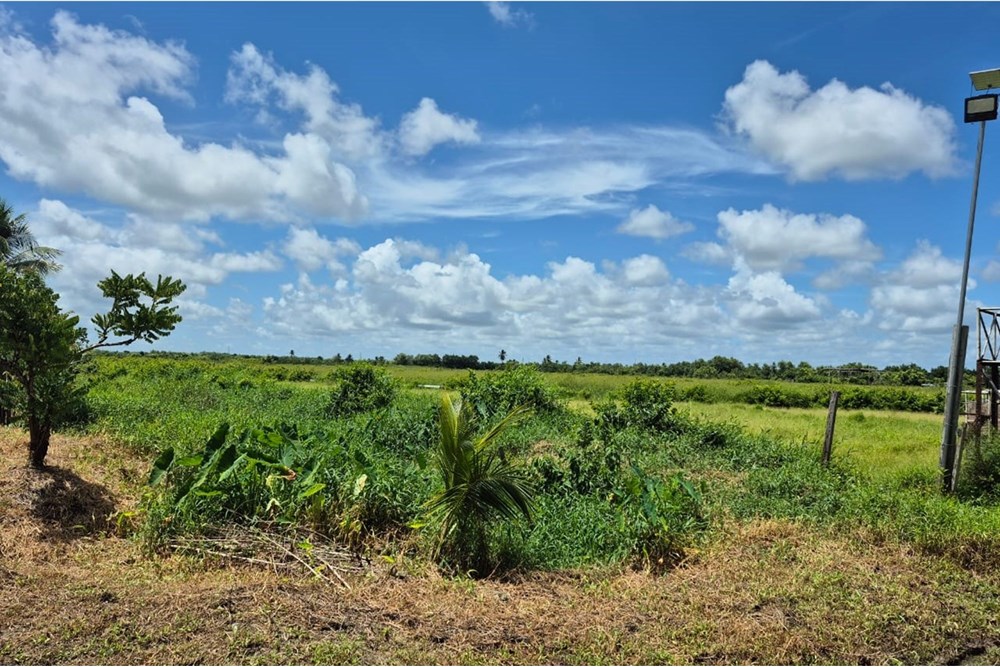 Land - For Sale - Guyana, Demerara-Mahaica, Perseverance - WhatsApp Image 2025-07-23 at 11.03.32 AM.jpeg - 130002012-140