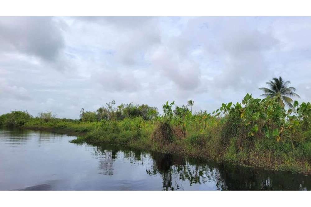 Land For Sale Guyana, DemeraraMahaica, Mahaica Village 130002009