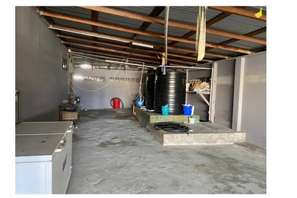 Building - For Rent/Lease - Guyana, Demerara-Mahaica, Enterprise - 1615039b-ebf5-4895-8748-a2e74bd1016f.jpeg - 130002028-116