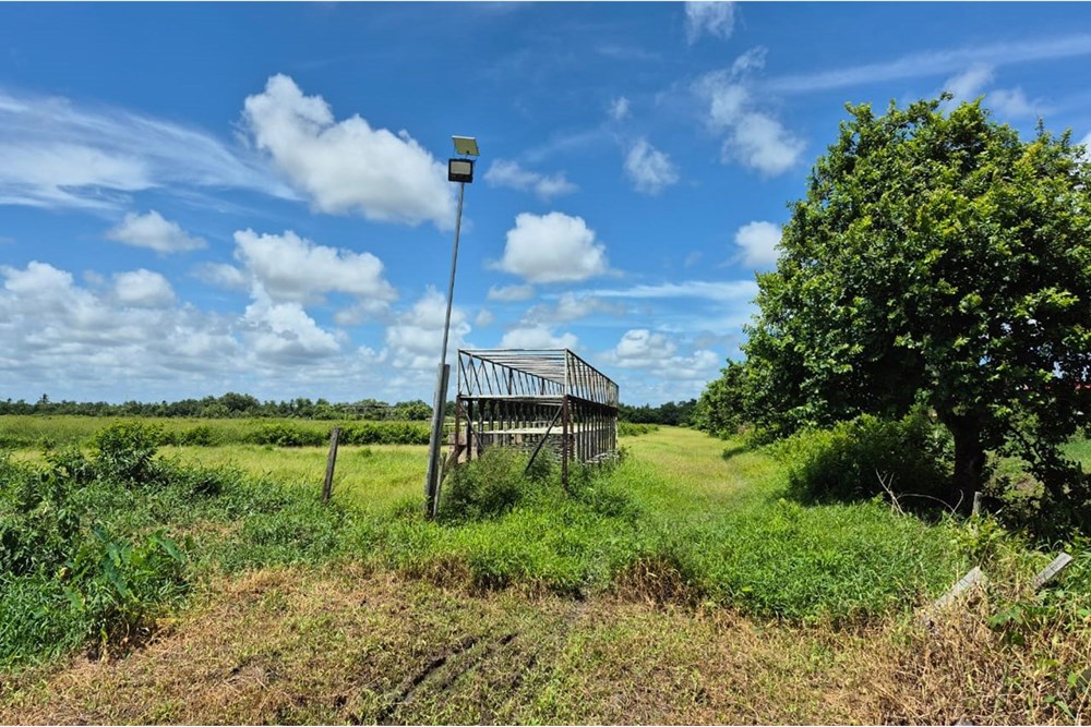 Land - For Sale - Guyana, Demerara-Mahaica, Perseverance - WhatsApp Image 2025-07-23 at 11.03.31 AM (1).jpeg - 130002012-140