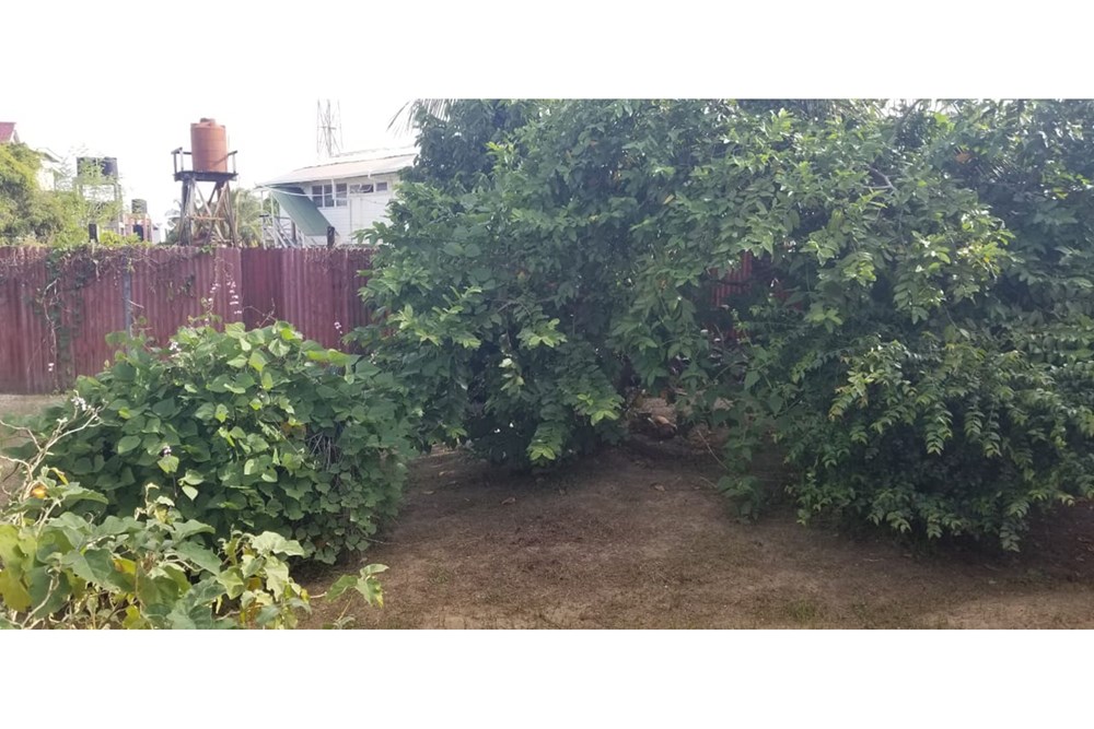 House - For Sale - Guyana, Demerara-Mahaica, Beterverwagting - IMG-20240812-WA0047.jpg - 130002012-93