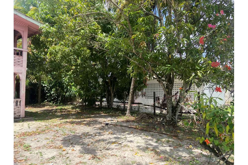 Land - For Sale - Guyana, Demerara-Mahaica, Supply - IMG_1678.jpeg - 130002028-85