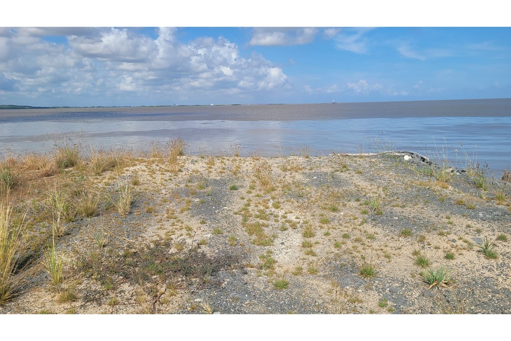 Land - For Rent/Lease - Guyana, Demerara-Mahaica, Georgetown - WhatsApp Image 2025-11-03 at 3.02.13 PM (1).jpeg - 130002036-2
