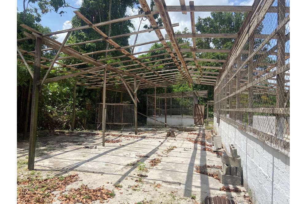 Land - For Sale - Guyana, Demerara-Mahaica, Supply - IMG_1689.jpeg - 130002028-85