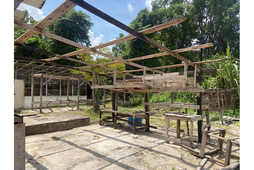 Land - For Sale - Guyana, Demerara-Mahaica, Supply - IMG_1694.jpeg - 130002028-85