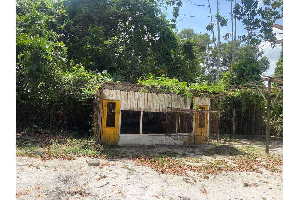 Land - For Sale - Guyana, Demerara-Mahaica, Supply - IMG_1686.jpeg - 130002028-85