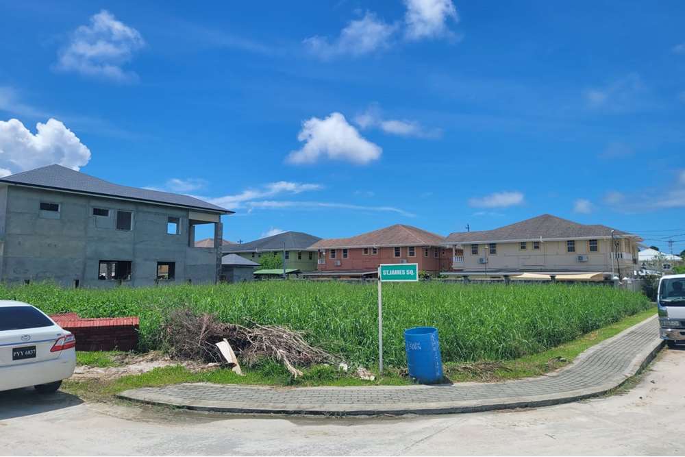 Land - For Sale - Guyana, Demerara-Mahaica, Demerara - IMG-20230609-WA0006.jpg - 130002012-35