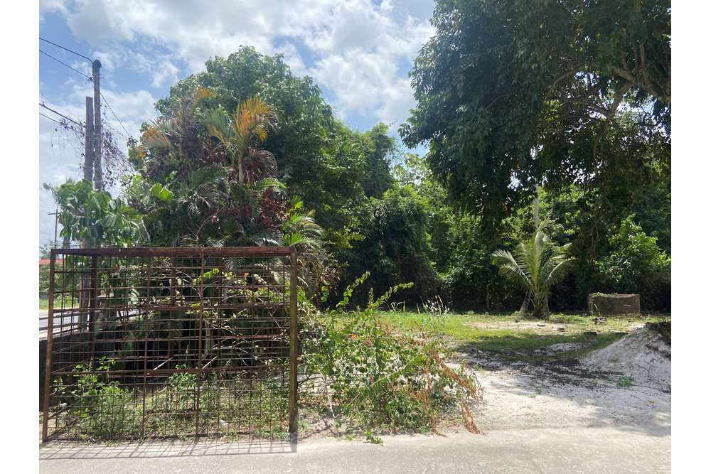 Land - For Sale - Guyana, Demerara-Mahaica, Supply - IMG_1676.jpeg - 130002028-85