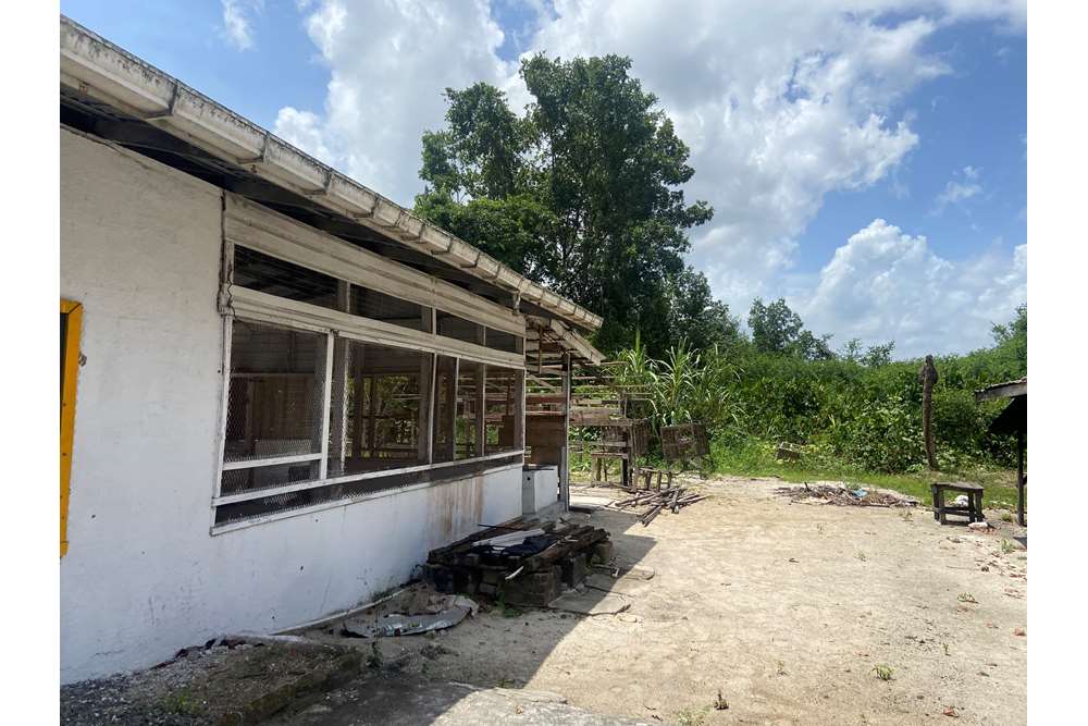 Land - For Sale - Guyana, Demerara-Mahaica, Supply - IMG_1691.jpeg - 130002028-85