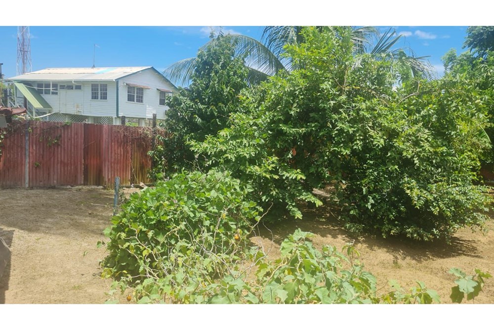 House - For Sale - Guyana, Demerara-Mahaica, Beterverwagting - IMG-20240812-WA0096.jpg - 130002012-93