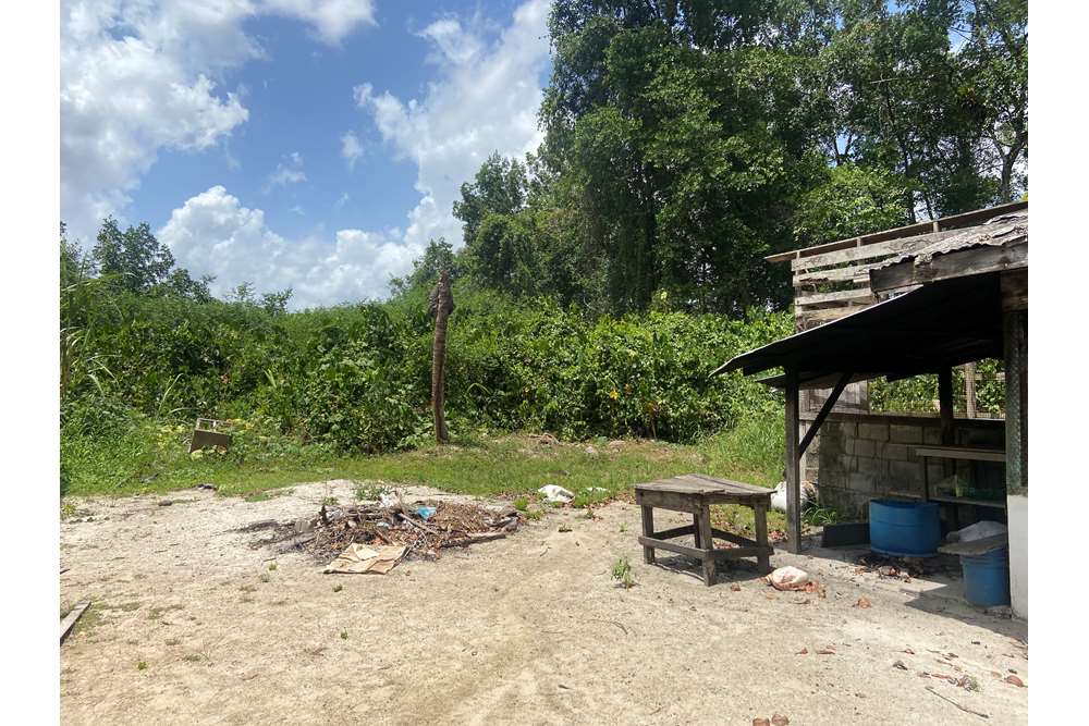Land - For Sale - Guyana, Demerara-Mahaica, Supply - IMG_1693.jpeg - 130002028-85