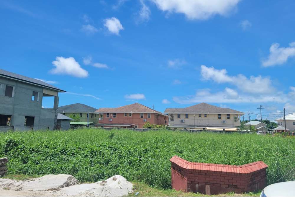 Land - For Sale - Guyana, Demerara-Mahaica, Demerara - IMG-20230609-WA0007.jpg - 130002012-35