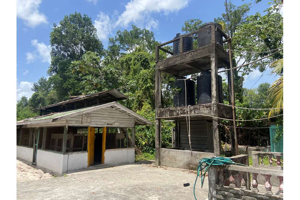 Land - For Sale - Guyana, Demerara-Mahaica, Supply - IMG_1690.jpeg - 130002028-85