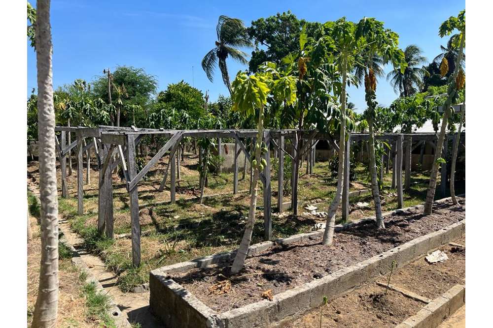 Residential House Guyana, East BerbiceCorentyne, New Amsterdam