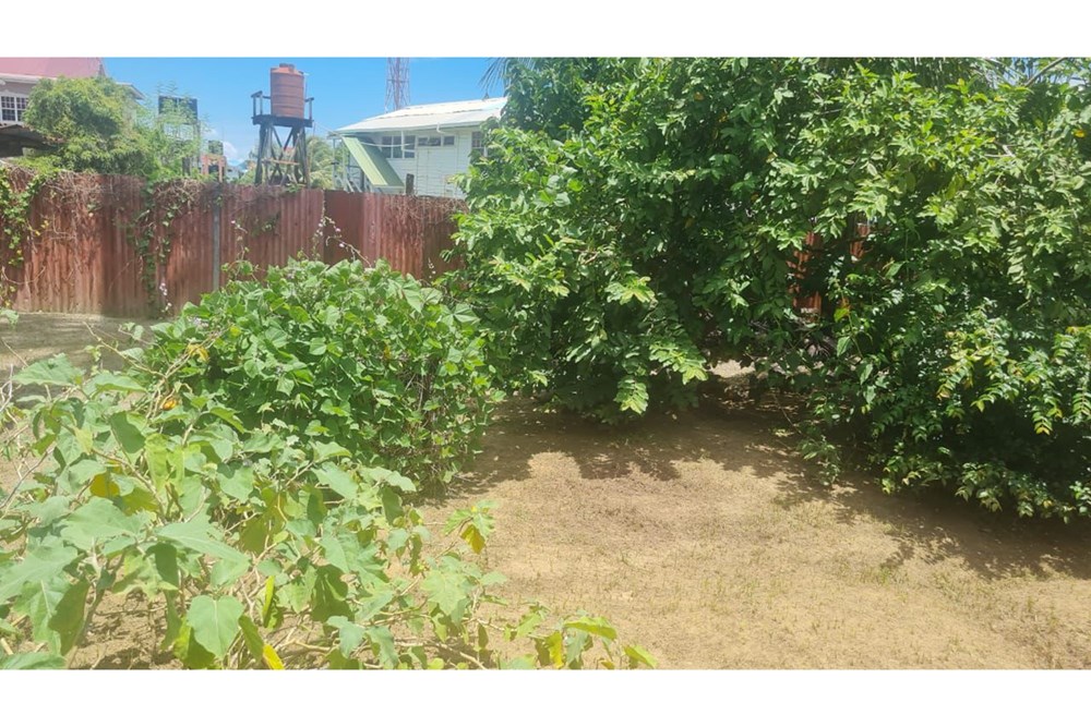 House - For Sale - Guyana, Demerara-Mahaica, Beterverwagting - IMG-20240812-WA0092.jpg - 130002012-93