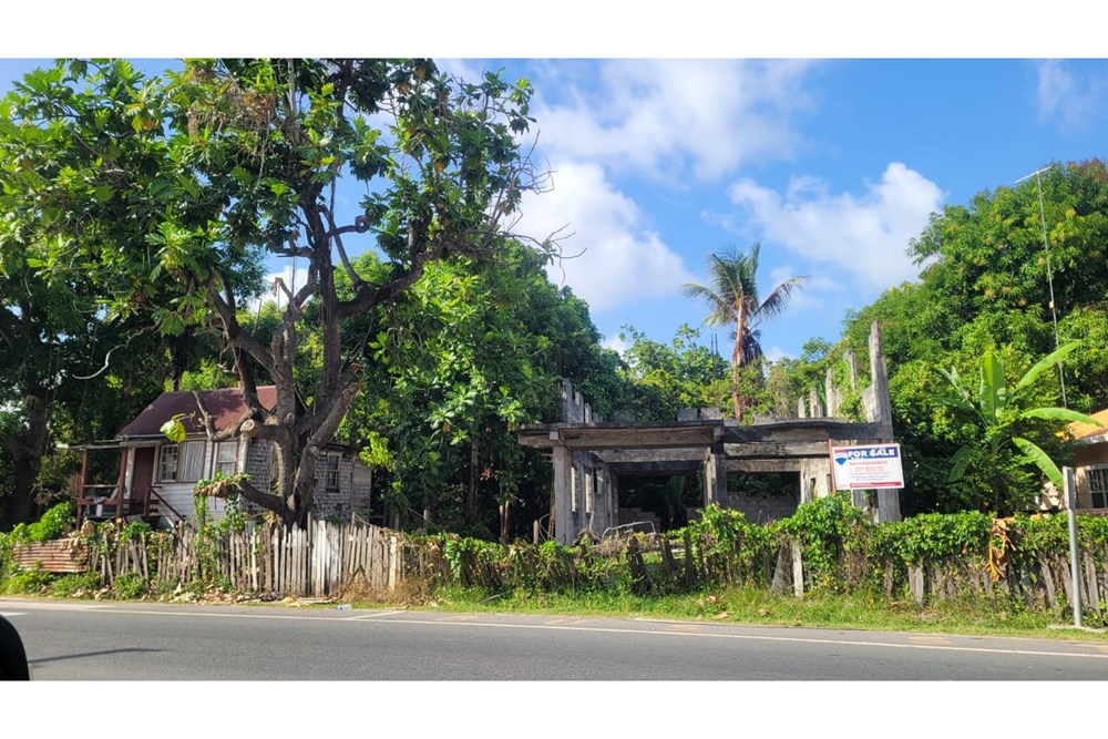 Land - For Sale - Guyana, Demerara-Mahaica, Cove and John - WhatsApp Image 2025-03-25 at 12.36.12 PM.jpeg - 130002018-149
