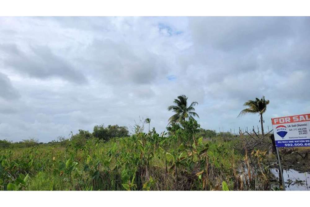 Land For Sale Guyana, DemeraraMahaica, Mahaica Village 130002009