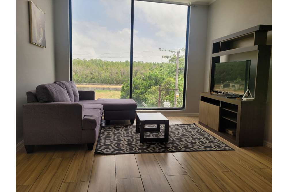 Condo/Apartment For Rent/Lease Guyana, DemeraraMahaica, Happy