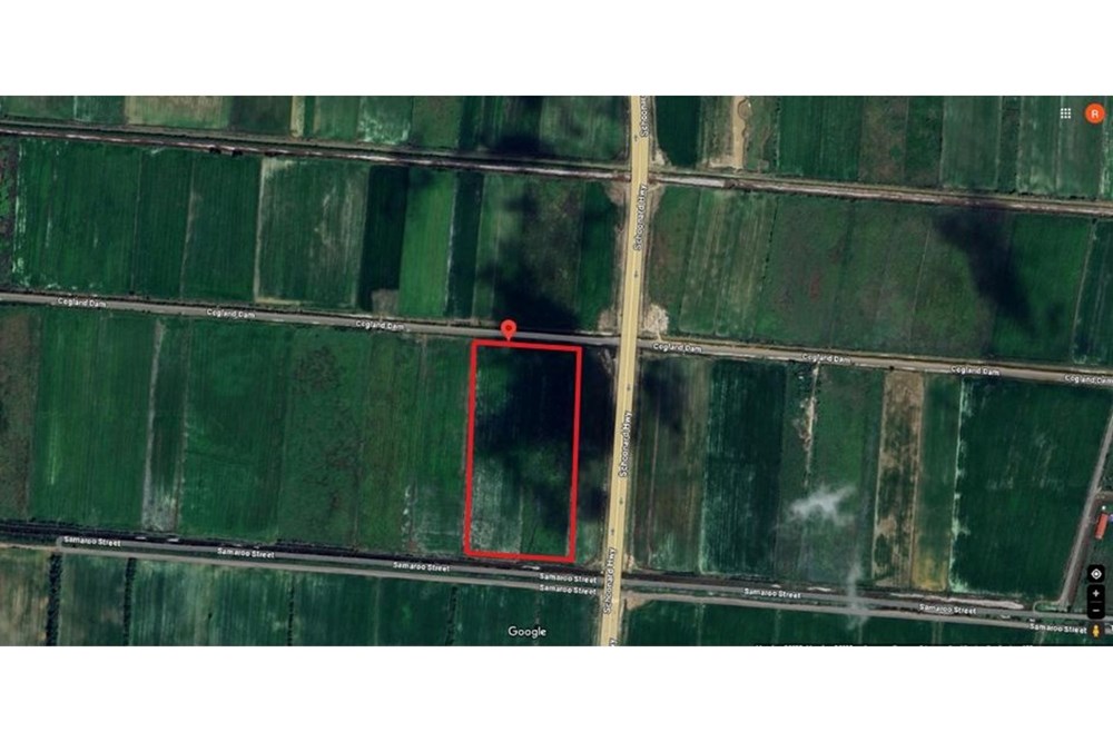 Land - For Sale - Guyana, Essequibo Islands-West Demerara, Schoonord - WhatsApp Image 2025-08-08 at 12.02.10 PM.jpeg - 130002012-142
