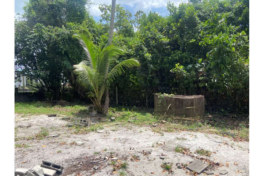 Land - For Sale - Guyana, Demerara-Mahaica, Supply - IMG_1687.jpeg - 130002028-85