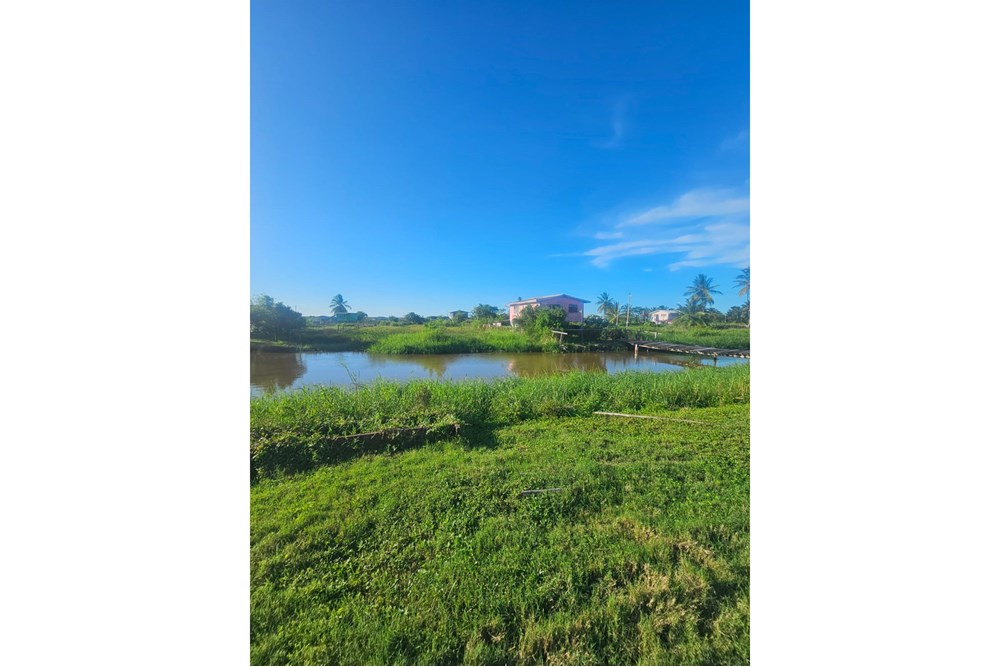 Land - For Sale - Guyana, East Berbice-Corentyne, Fyrish - 1000310695.jpg - 130002027-60