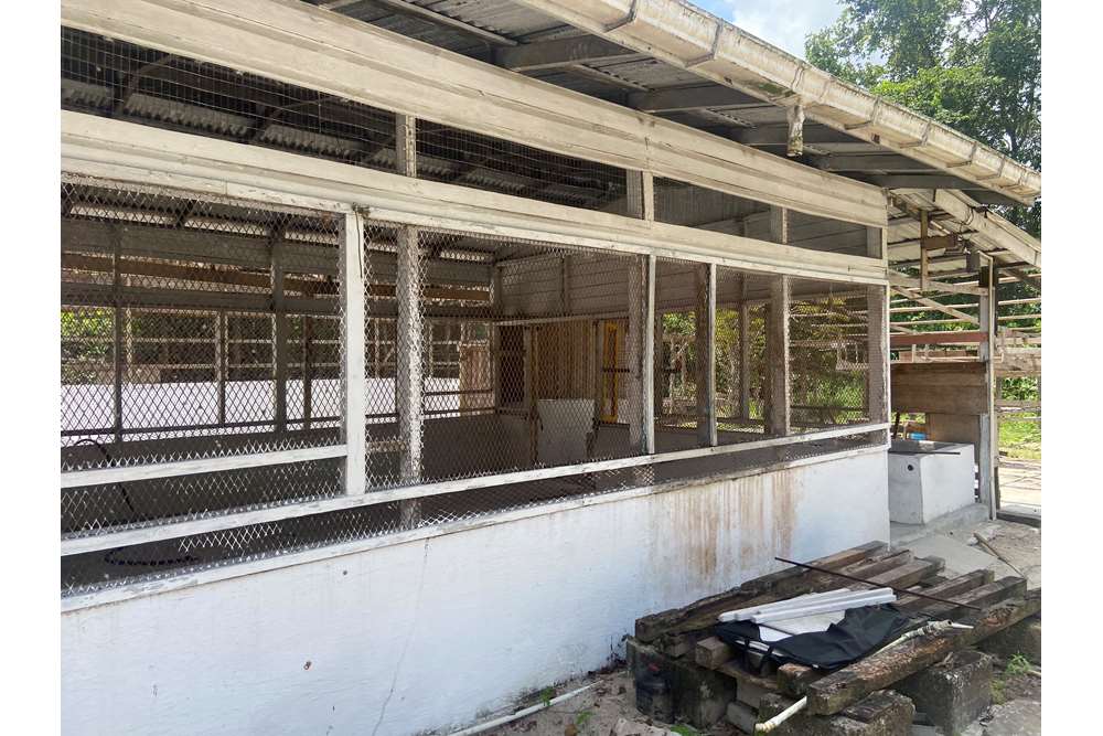 Land - For Sale - Guyana, Demerara-Mahaica, Supply - IMG_1692.jpeg - 130002028-85