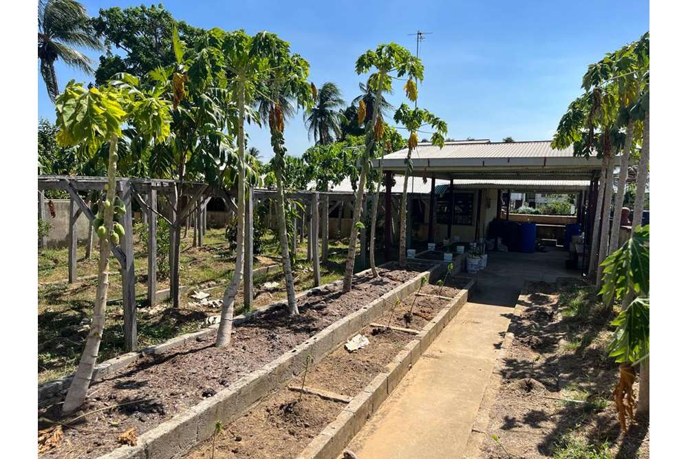 Residential House Guyana, East BerbiceCorentyne, New Amsterdam