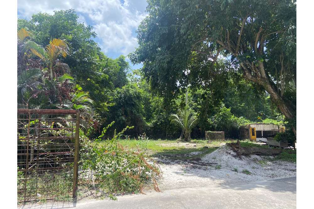 Land - For Sale - Guyana, Demerara-Mahaica, Supply - IMG_1677.jpeg - 130002028-85