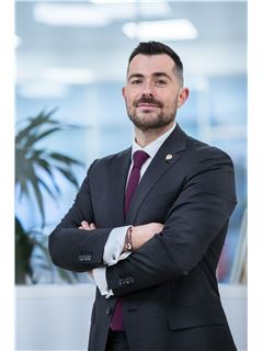 Agent immobilier - Louis MATHIEU - RE/MAX - Partners