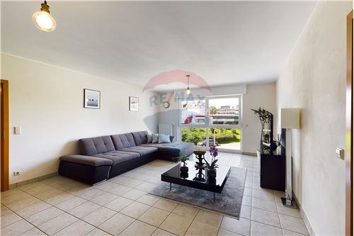 A vendre-Appartement-Niederkorn-280171009-172