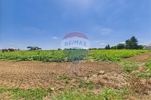 A vendre-Terrain-Contern-280171009-187