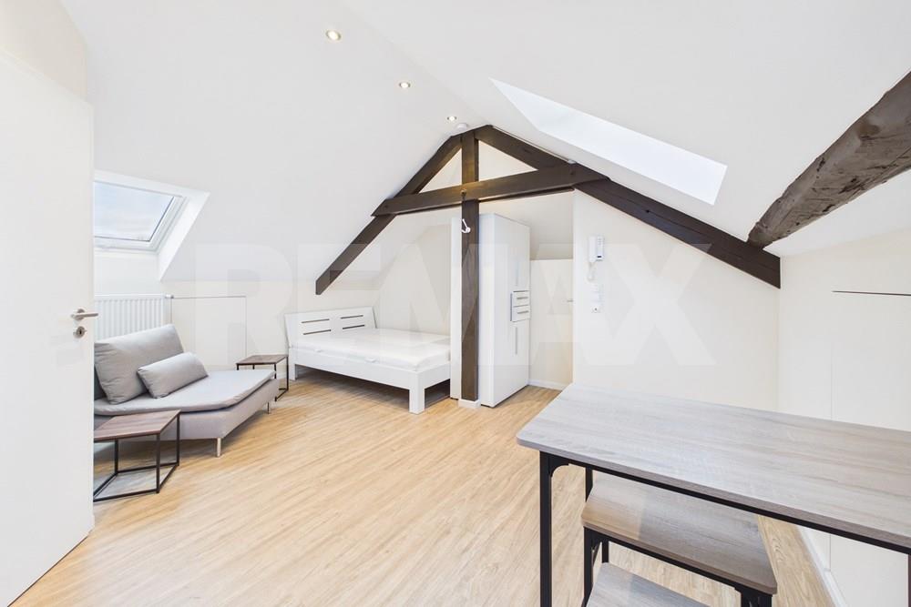 Studio - A louer - Luxembourg - image (3).jpg - 280071131-4