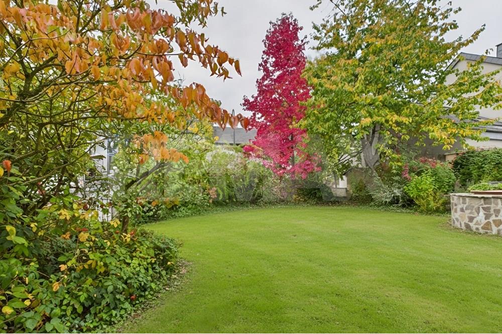 Maison - A vendre - Roodt-sur-Syre - CAM02933G0-PR0276-STILL010.jpg - 280351022-1