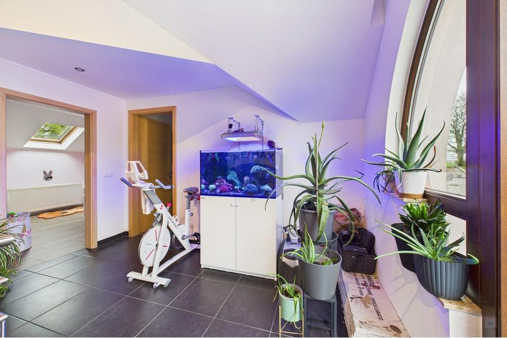 Duplex - A vendre - Merscheid (Puetscheid) - CAM02452G0-PR0022-STILL016.jpg - 280071122-60