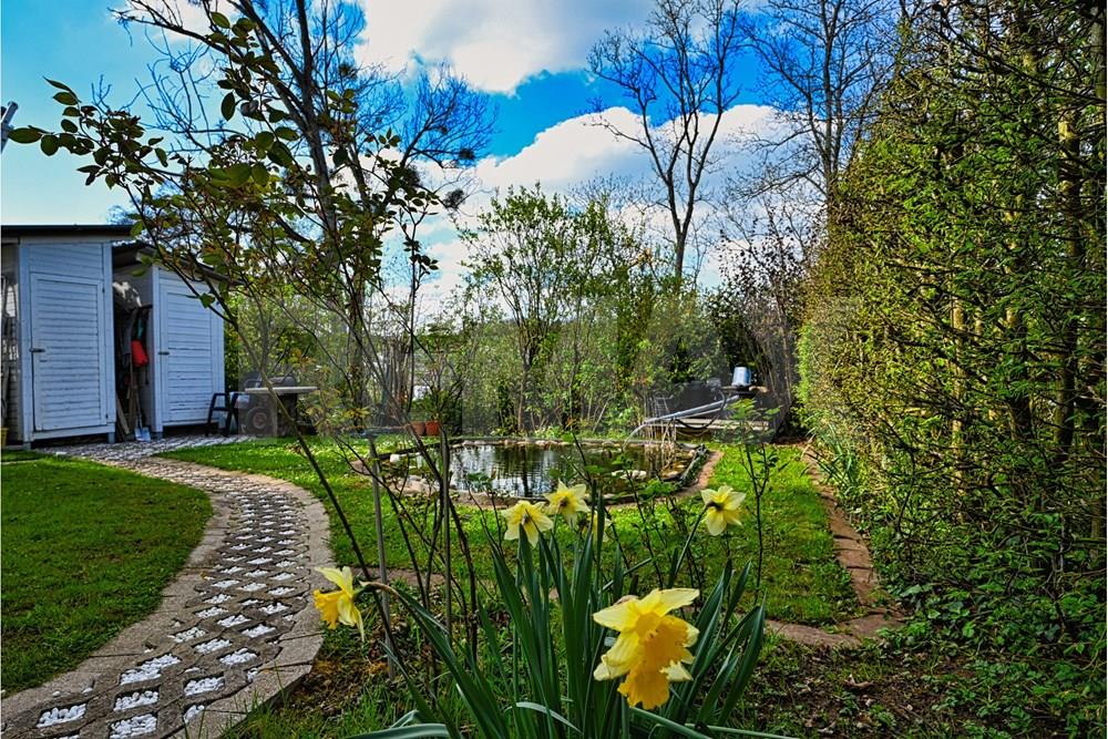 Maison - A vendre - Wecker - DSC_2251.jpg - 280071130-2