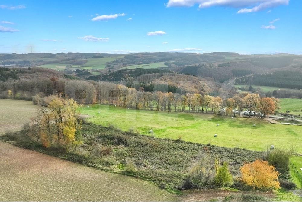 Maison - A vendre - Gruemmelscheid - 55-web-or-mls-DJI_0007.jpg - 280221016-158