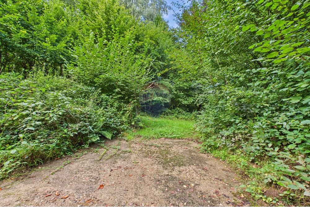 Maison - A vendre - Preizerdaul - CAM04794G0-PR0042-STILL045.jpg - 280061181-9